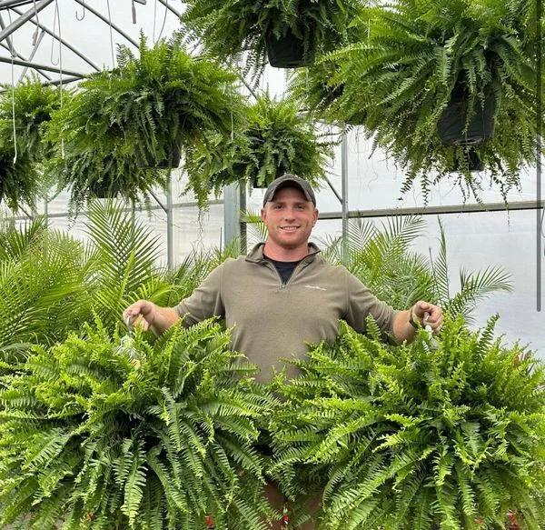 Resistant Lifelike Artificial Boston Fern