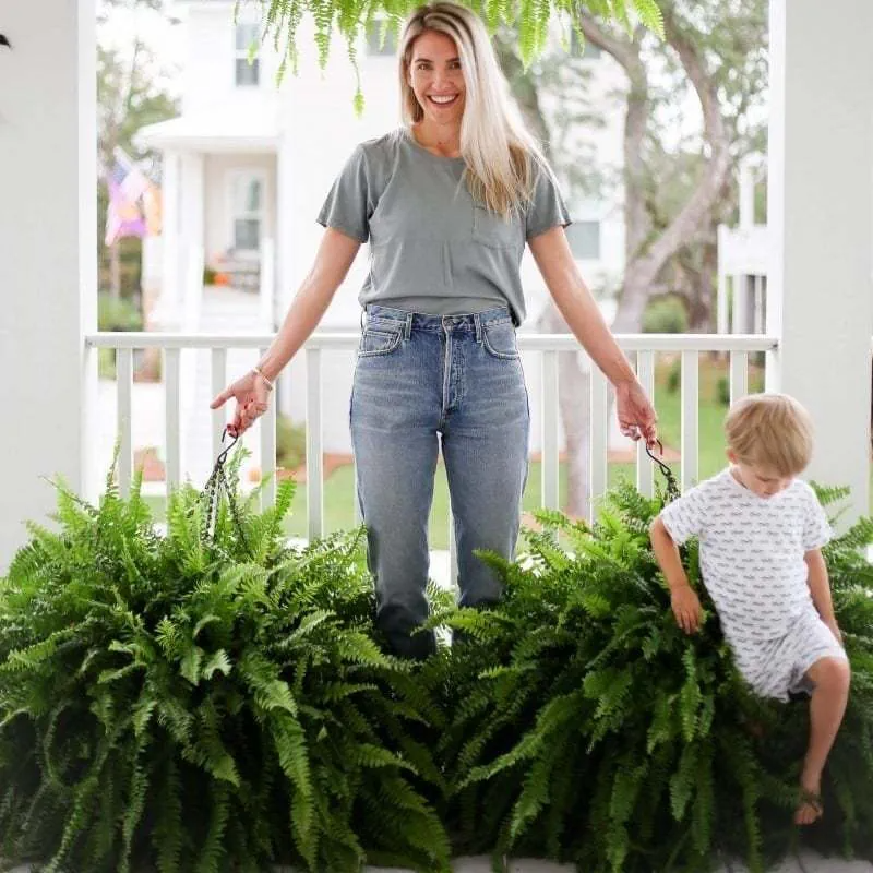 Resistant Lifelike Artificial Boston Fern